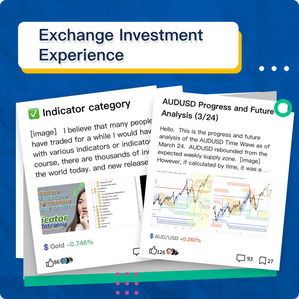 Exchange Investment Experience